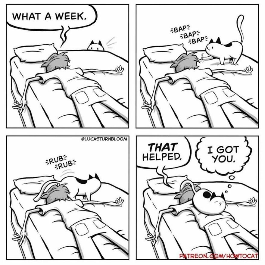 New Hilarious Comics Show What It’s Like To Live With A Cat