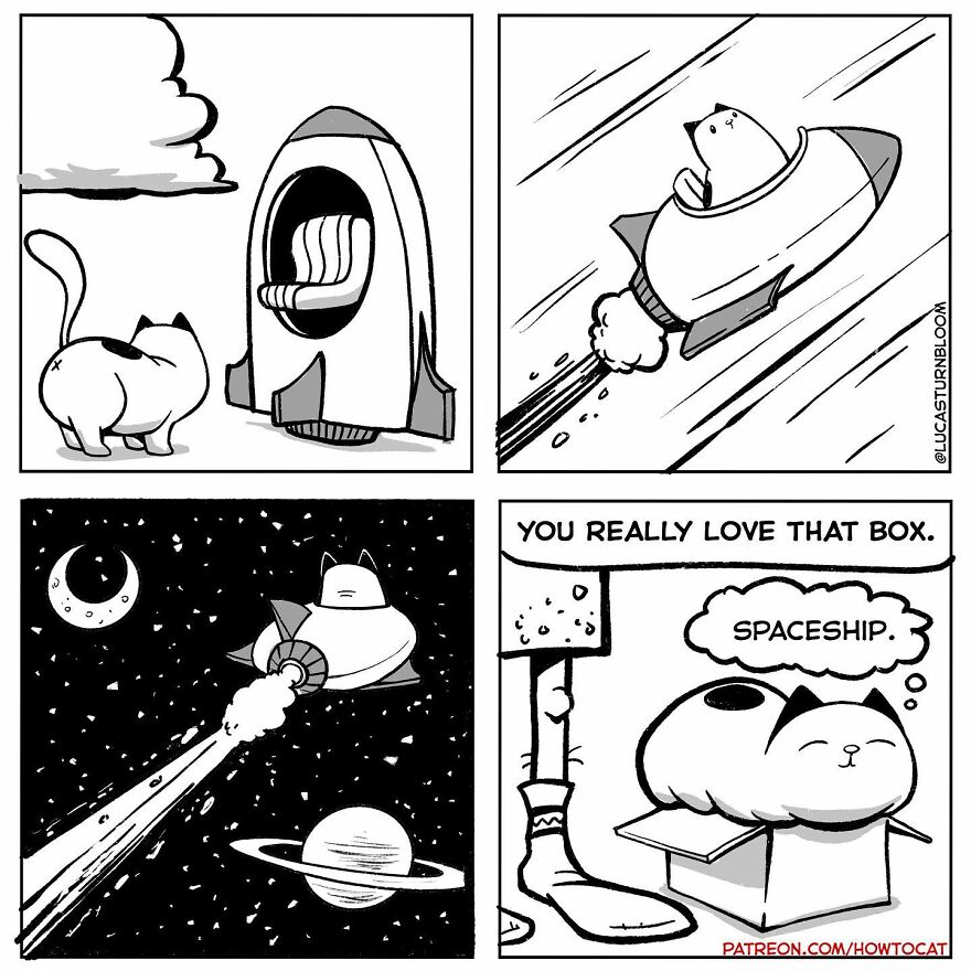 New Hilarious Comics Show What It’s Like To Live With A Cat