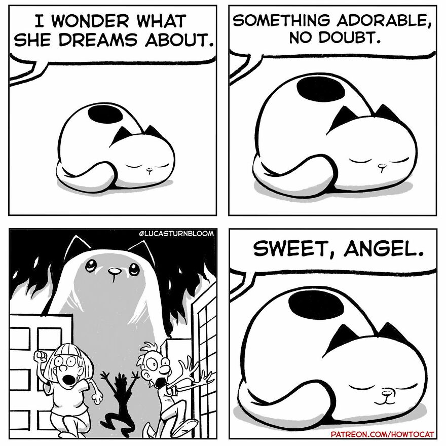 New Hilarious Comics Show What It’s Like To Live With A Cat