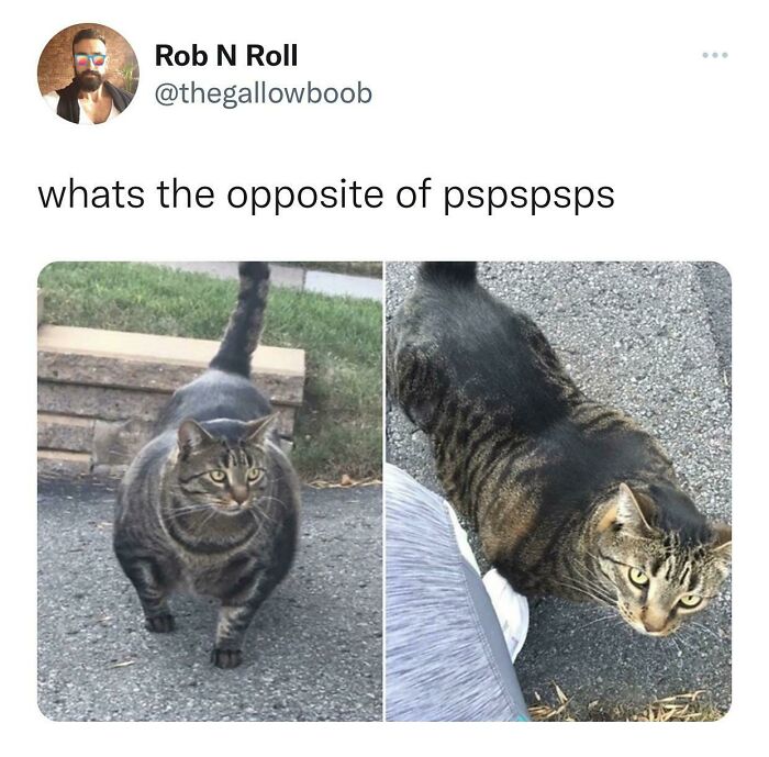 Why Does It Look Like That 