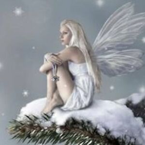 faeriefeathers avatar