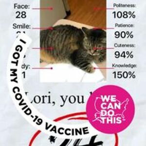 loripulliam31966 avatar