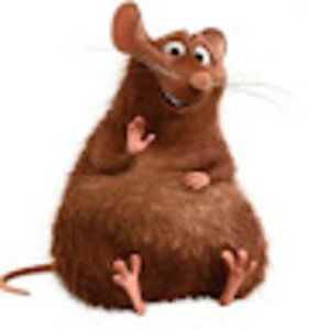 kyndelwinstead avatar