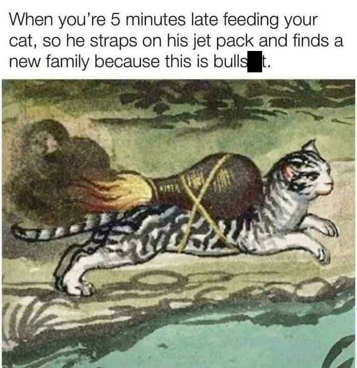 Kitty Is Fed Up With Your S**t