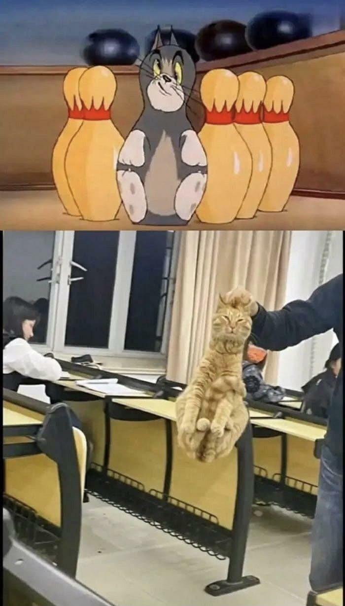 Hmmm Hmmm