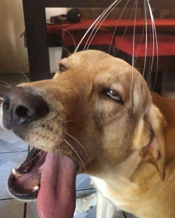 Hmmm Hmmm