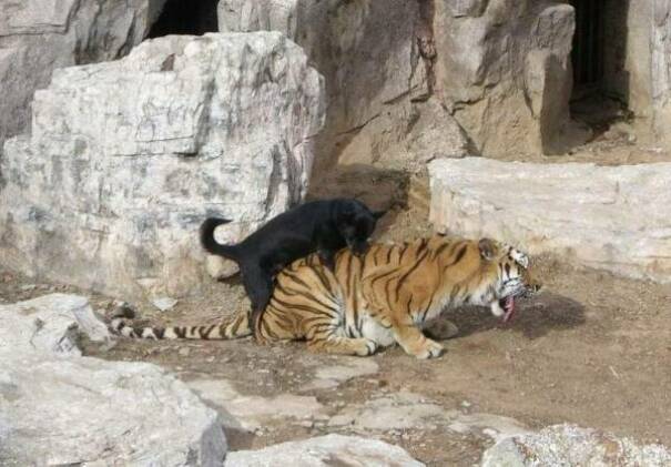 Hmmm Hmmm