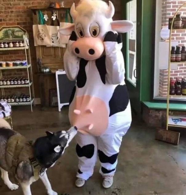 Hmmm Hmmm