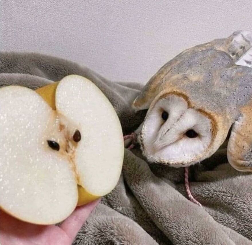 Hmmm Hmmm