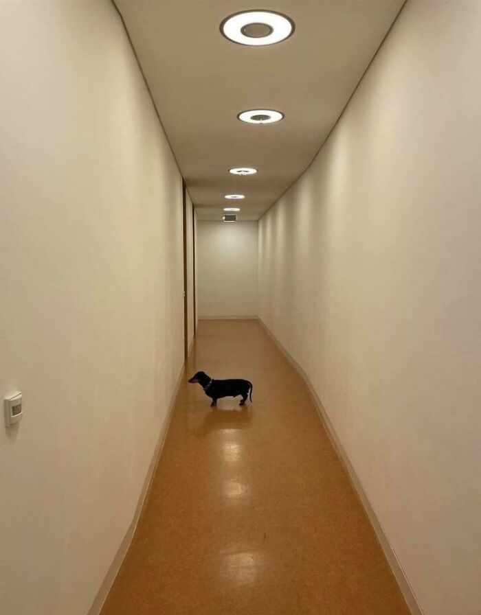 Hmmm Hmmm