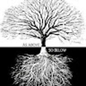 jennifersteiner avatar