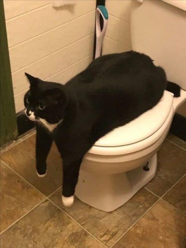 Hmmm Hmmm