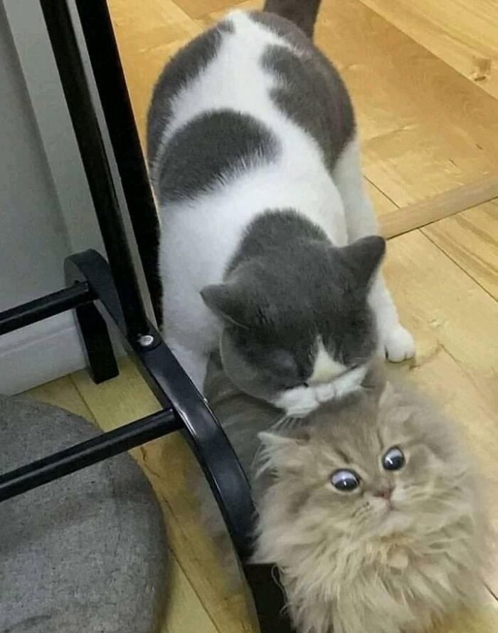 Hmmm Hmmm
