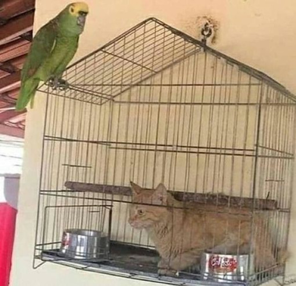 Hmmm Hmmm