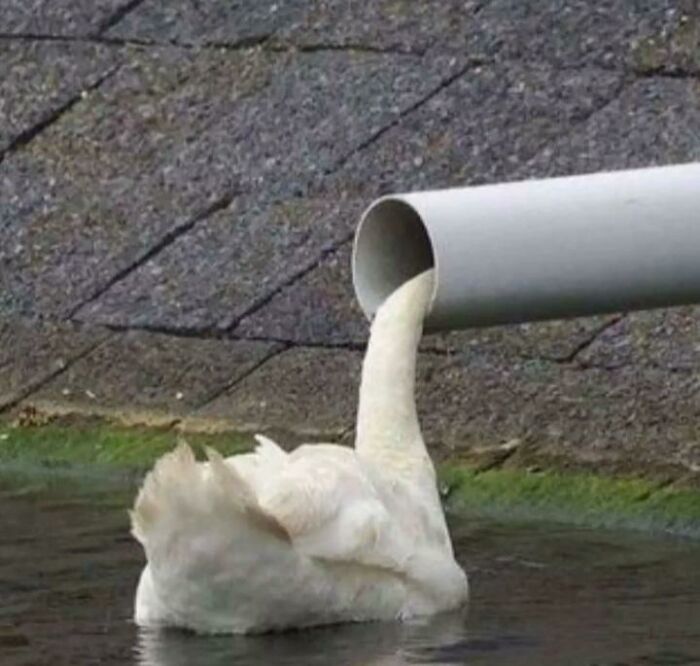 Hmmm Hmmm
