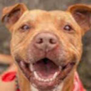 georgiajackson avatar