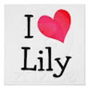 williamolmsted avatar