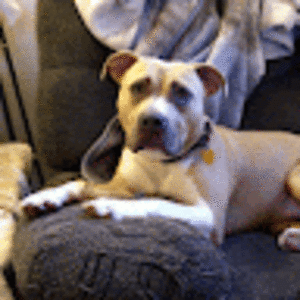 thomasurquhart avatar