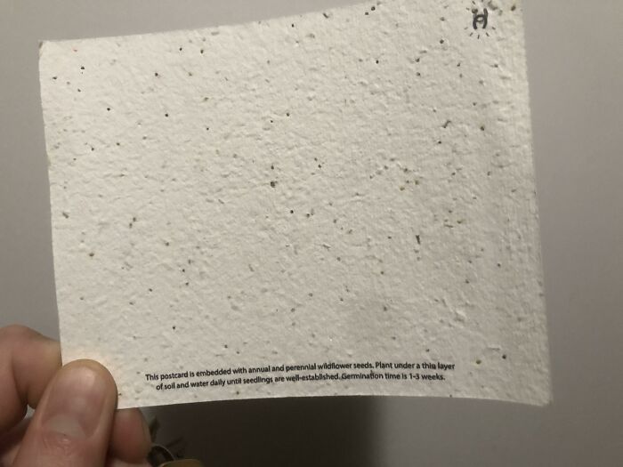 This Postcard I Took From A NY Hotel Has Wildflower Seeds Embedded In It So You Can Plant It After You Receive It In The Mail