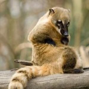 ericvonwerstak avatar