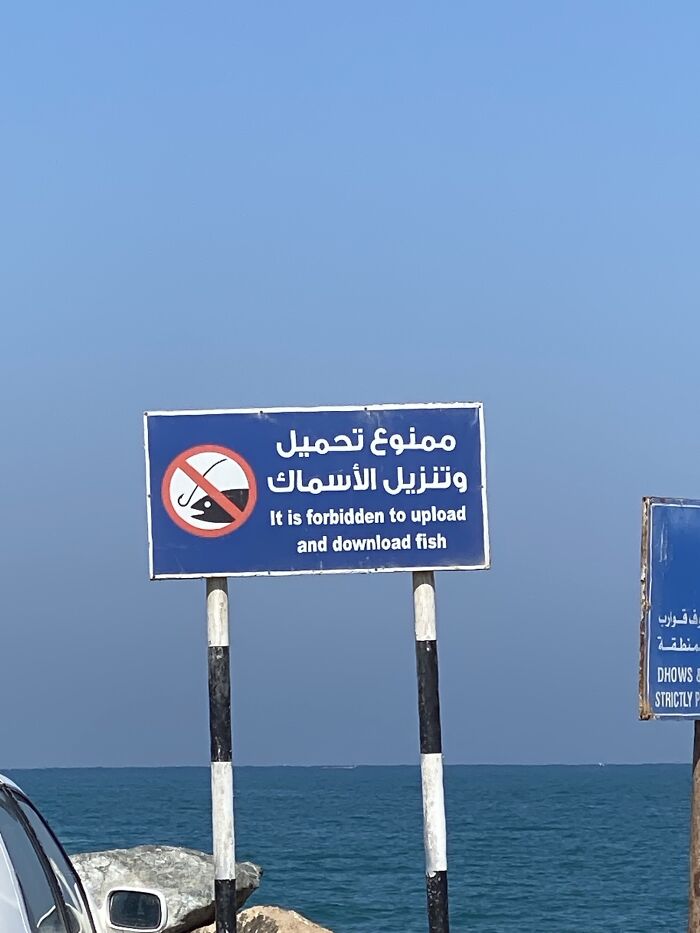 But Can You Download A Car?