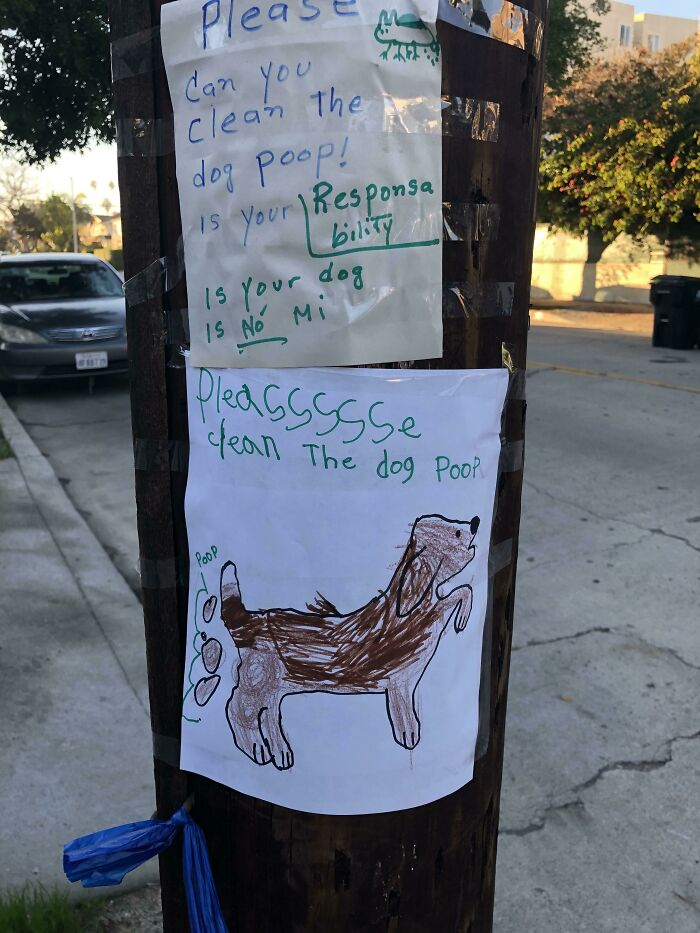 My Brother Found This While Walking Home