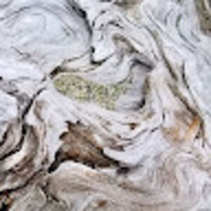 emilymulheran avatar