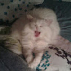 ericamccracken avatar