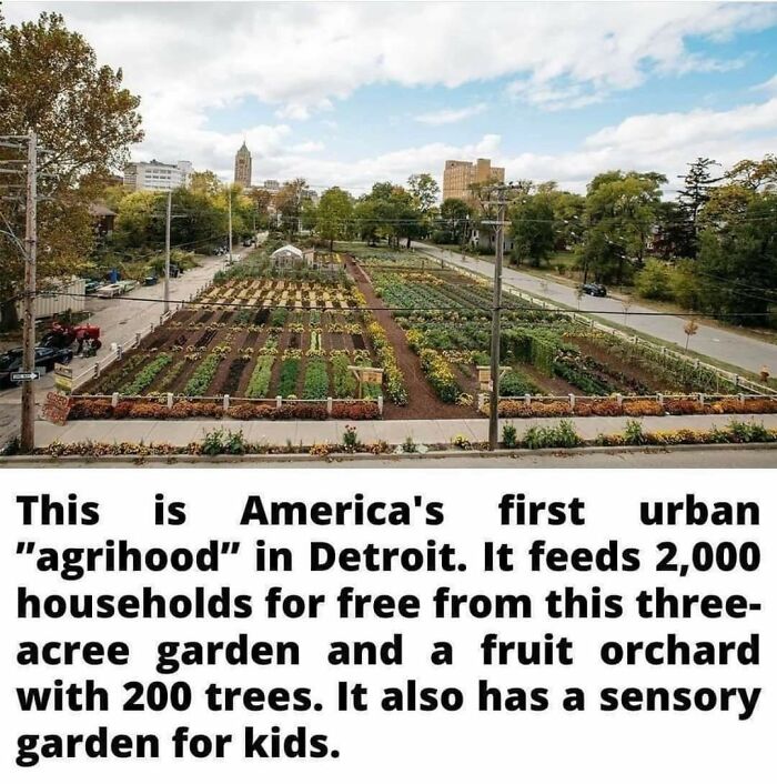 Agrihood In Detroit