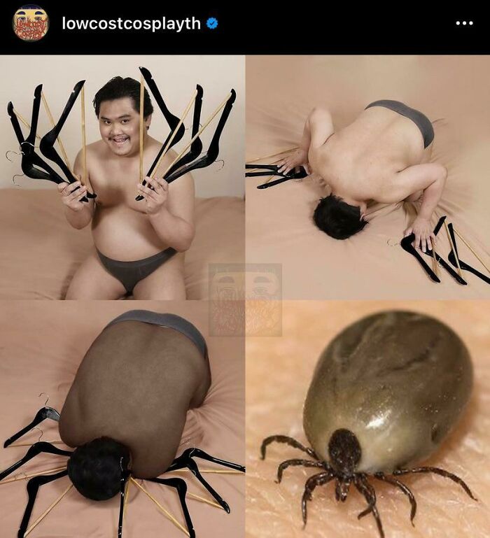 Thanks, I Hate Tick Cosplay…