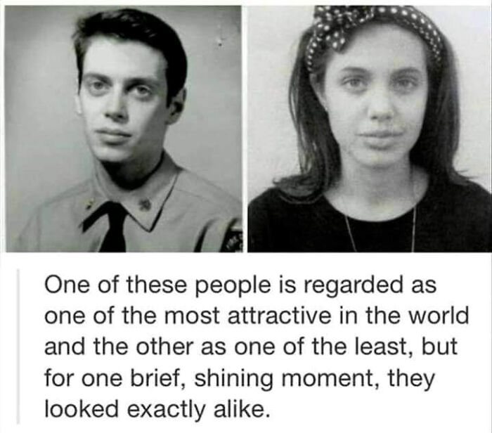 Thanks, I Hate Angelina Buscemi/Steve Jolie