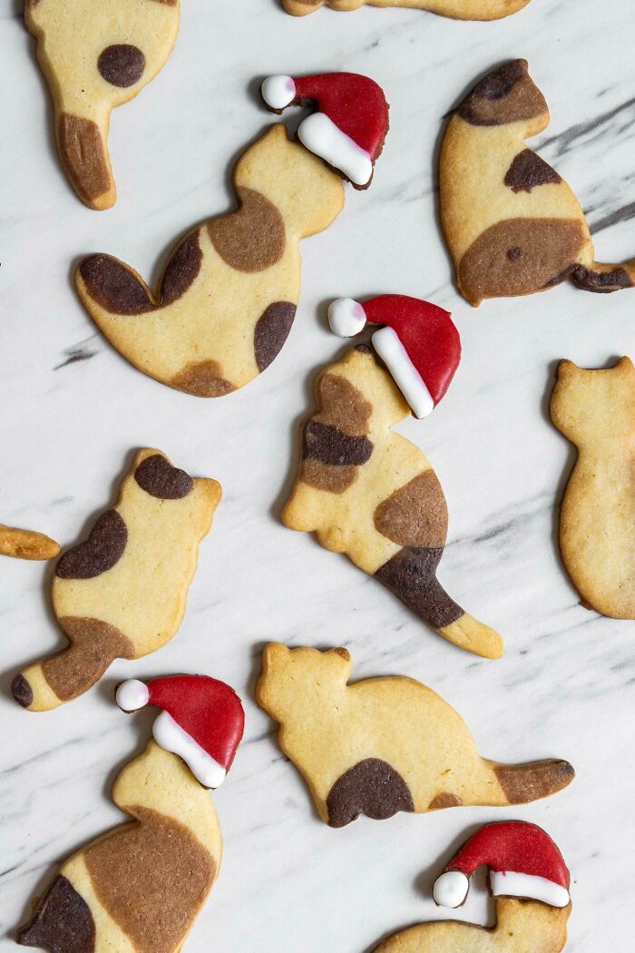 Calico Cat Sugar Cookies