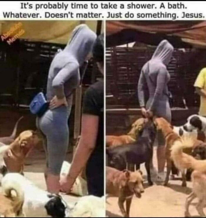 My Guess Is That They Smell Your Period Blood, Since This Always Happens To Me When I'm On My Period