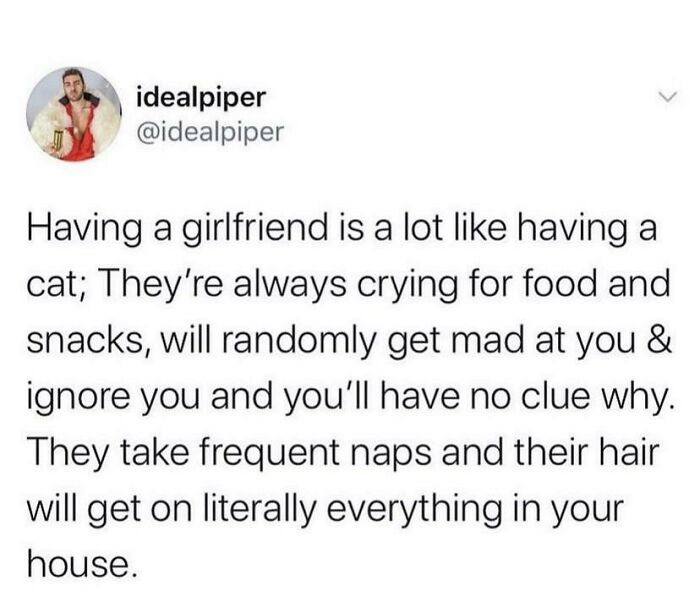 I Love Cats, But Wtf Is This?