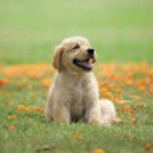 hollyjohns-collins avatar