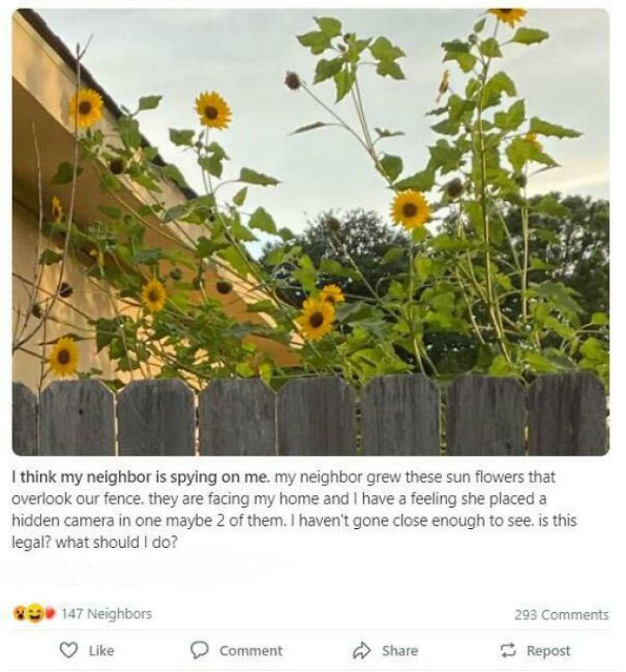 After This She Asks Which Essential Oils Works For Covid