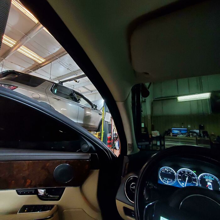 Nobody Needs This Much Tint