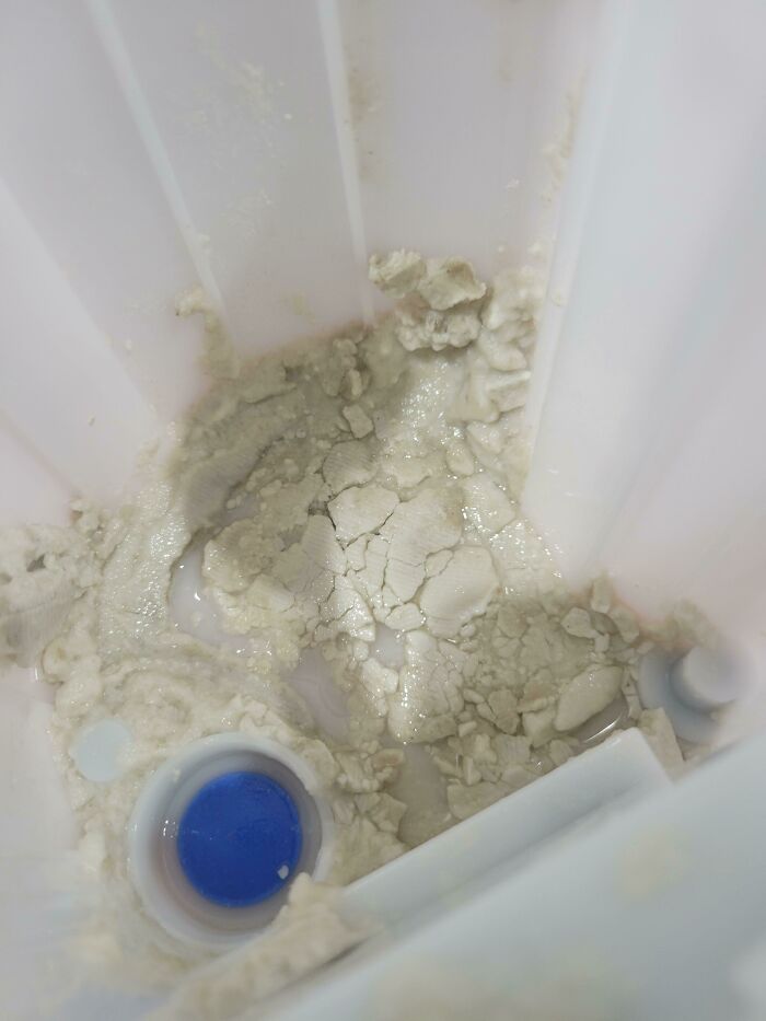 Inside The Fuel Pump! Somebody Hates This Customer. Last Week The Car Came In For Water In The Tank. Today...not Sure What This Is