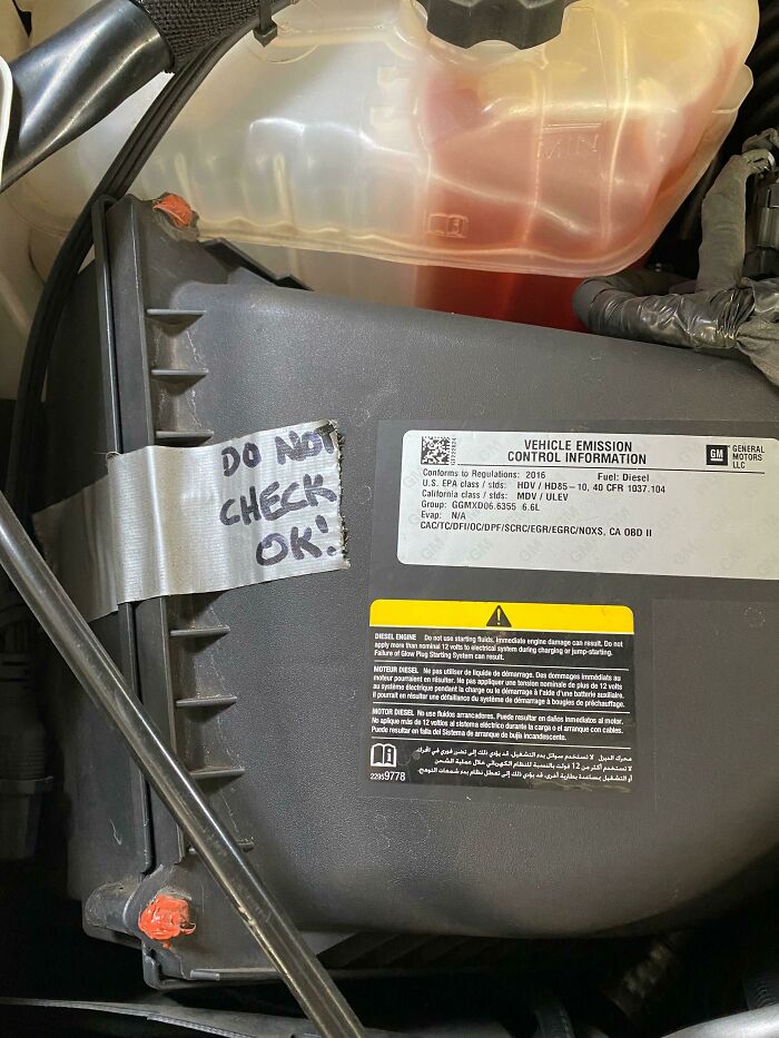 What Are They Hiding In Here?