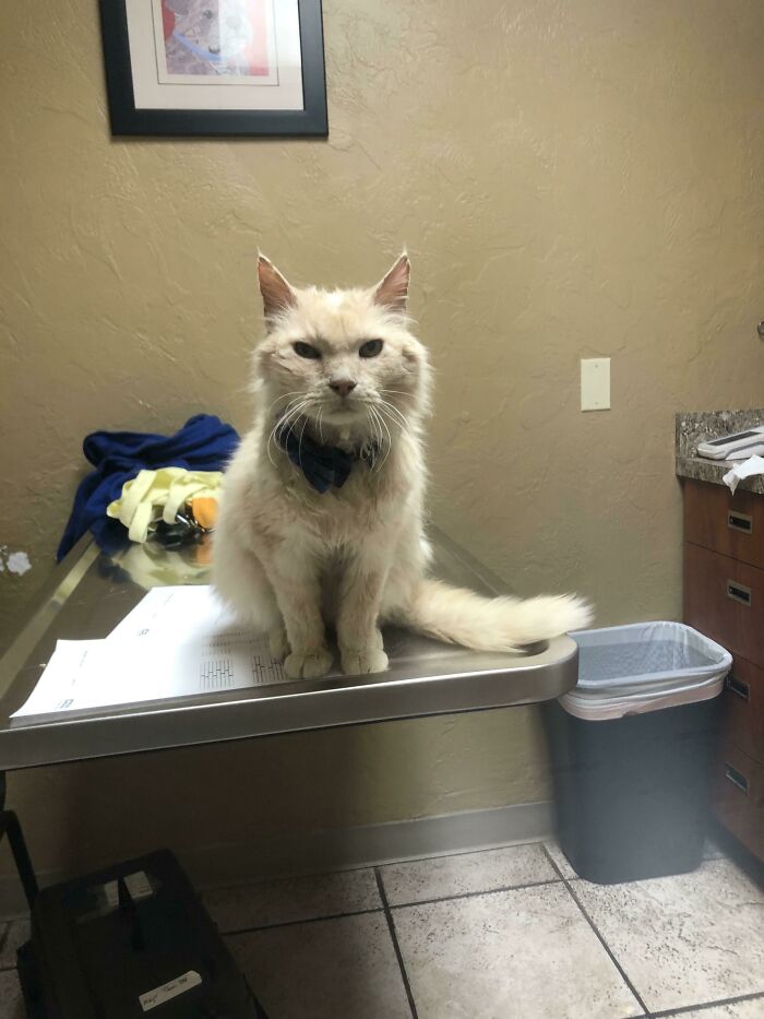 “He’s Still Got Some Life Left, He’s Just Really Ugly” - El Scrumpo’s Vet