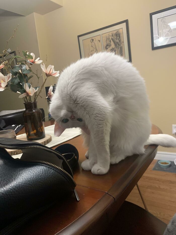 Winston quería saludar