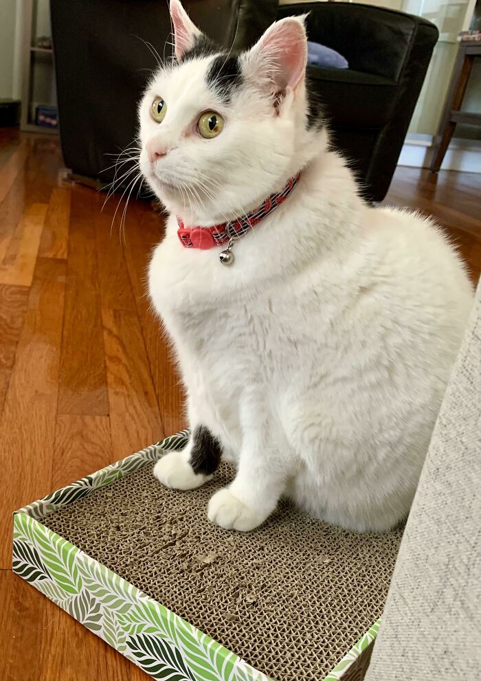 Nothing But Elevator Music Behind Those Eyes