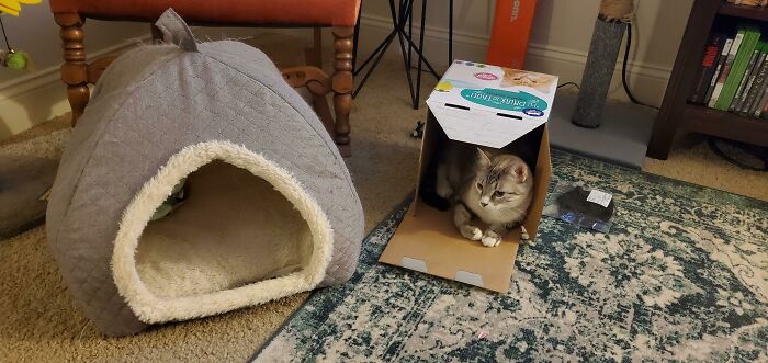 No pasa nada, solo ha costado 40$