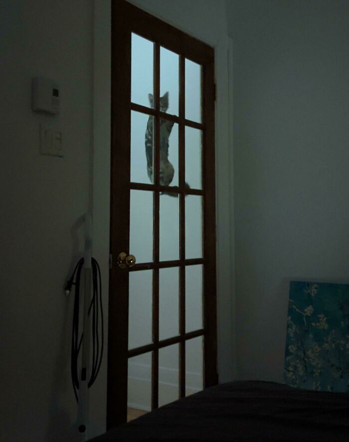 Me he despertado con esto, tengo miedo