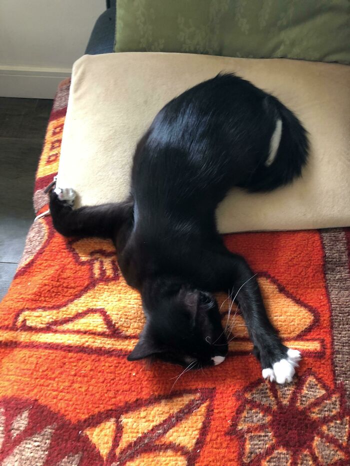 Duerme como si fuera parte de la escena del crimen