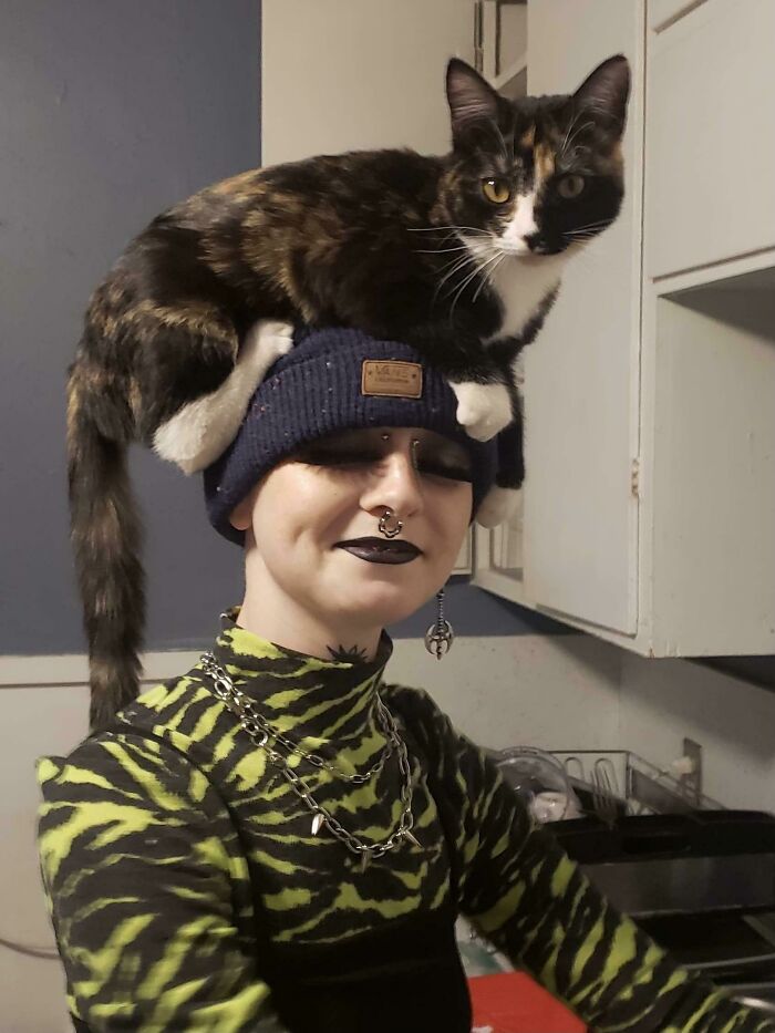 Se sienta en mi cabeza mientras hago las tareas del hogar. En casa nadie lo tolera, pero a mi me encanta