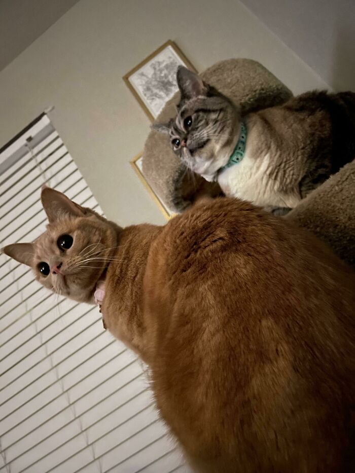 These Two Always Stare Into Nothing... But Always At The Same Fixed Point. What Kind Of Ghost Stays In Place Like That?