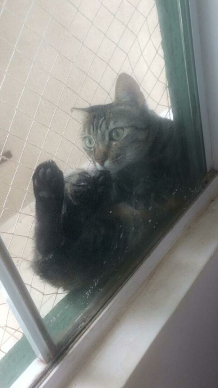 When She Fights With Her Brother That's How She Hides From Him. Everytime