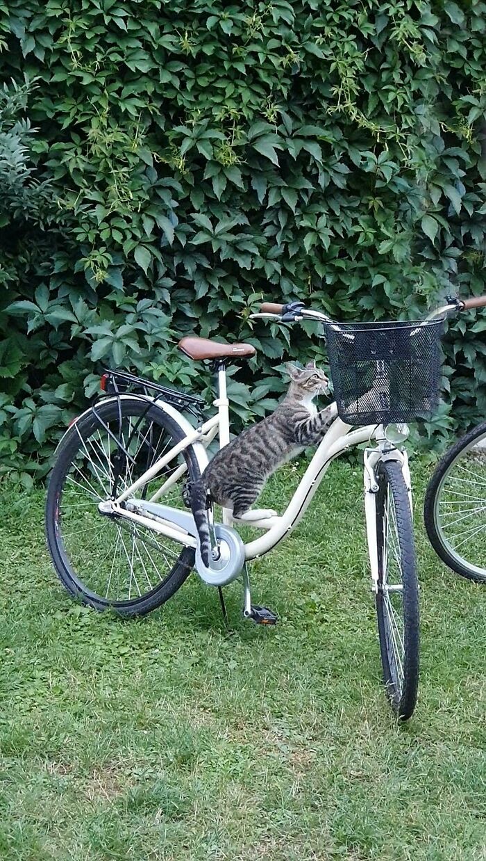 I'm Still Waiting For Him To Come Back From His Ride