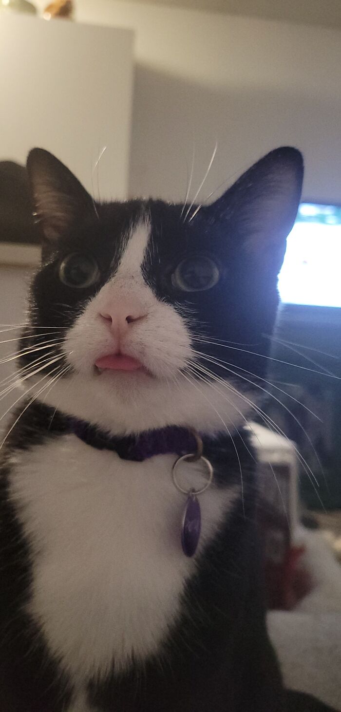 P Frequently Forgets Her Tongue Is Out...